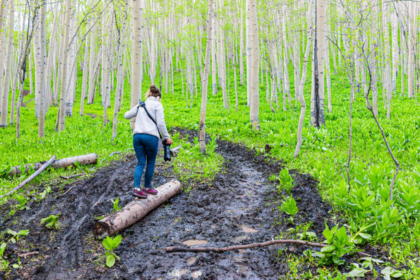 Things to do for Mud Season in Crested Butte