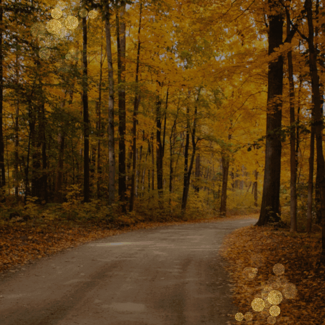 Places To See Fall Foliage