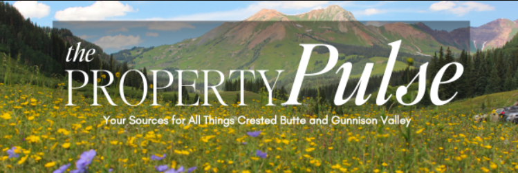 August 2024 – Real Estate Market Newsletter