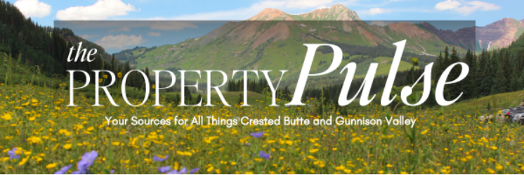 June 2024 – Real Estate Market Newsletter
