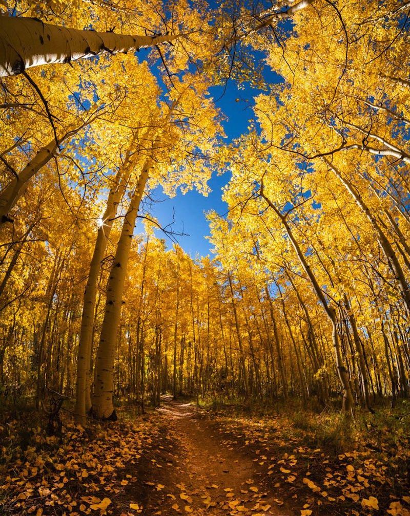 Crested Butte & Gunnison  Event – November 2024