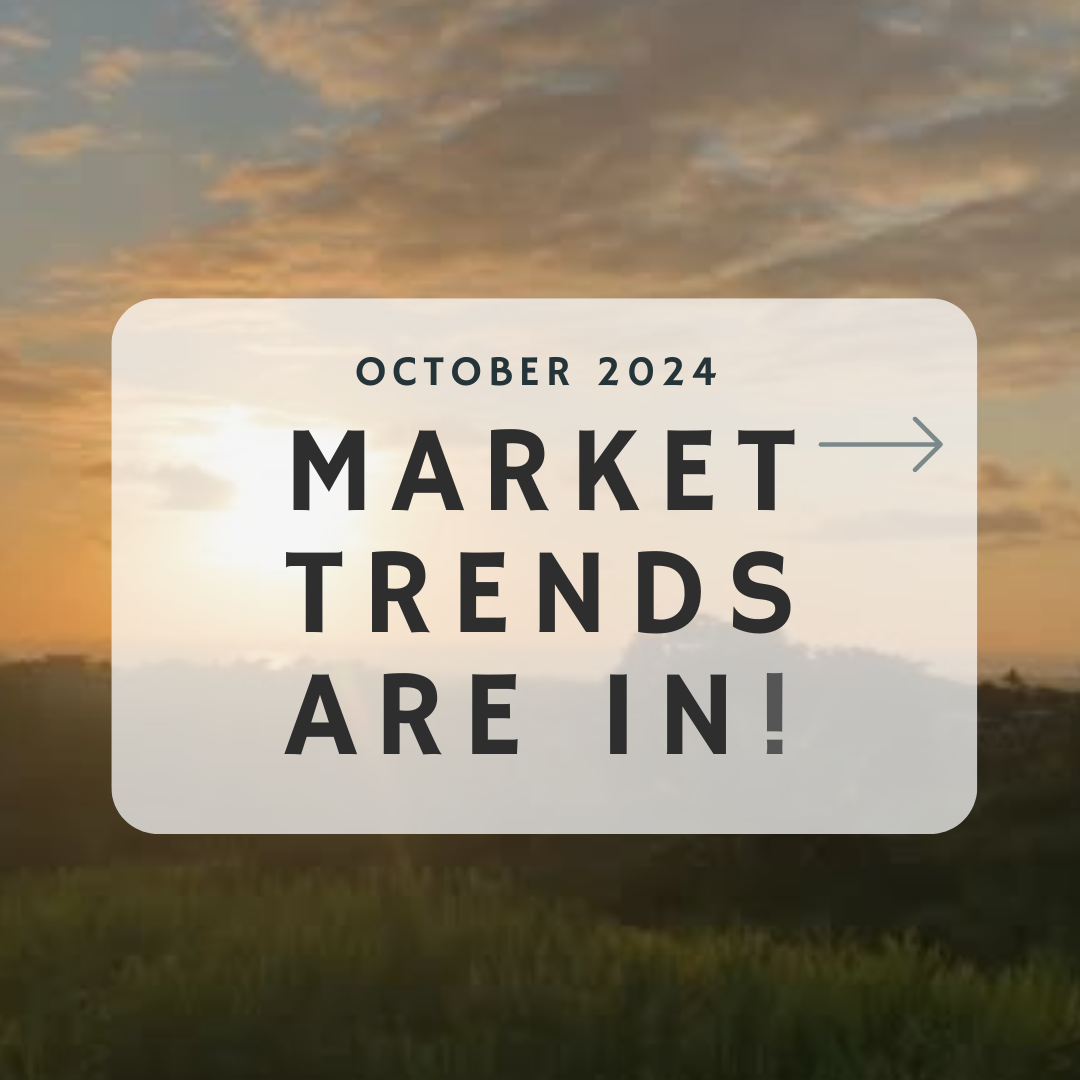 November 2024 – Market Trends