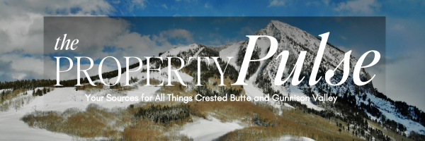 January 2025 – Real Estate Market Newsletter