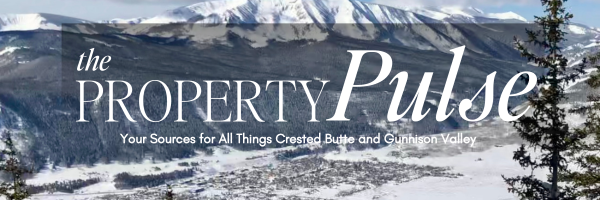 February 2025 – Real Estate Market Newsletter