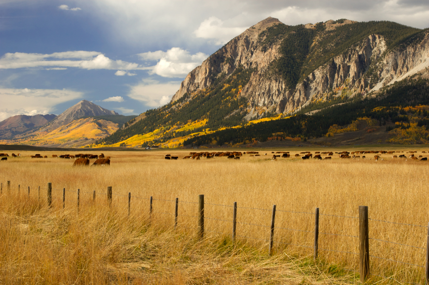 Butte Pasture Subdivision