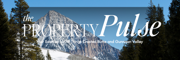 March 2025 – Real Estate Market Newsletter
