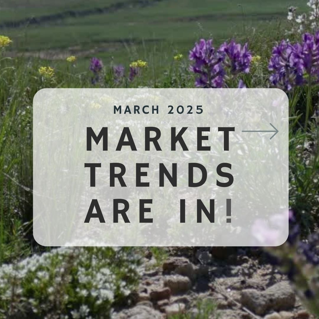 March 2025 – Market Trends