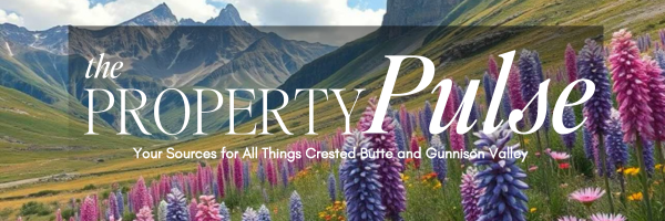April 2025 – Real Estate Market Newsletter