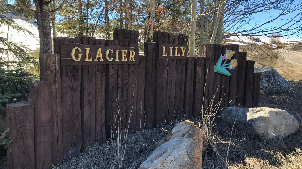 Glacier Lily Estates