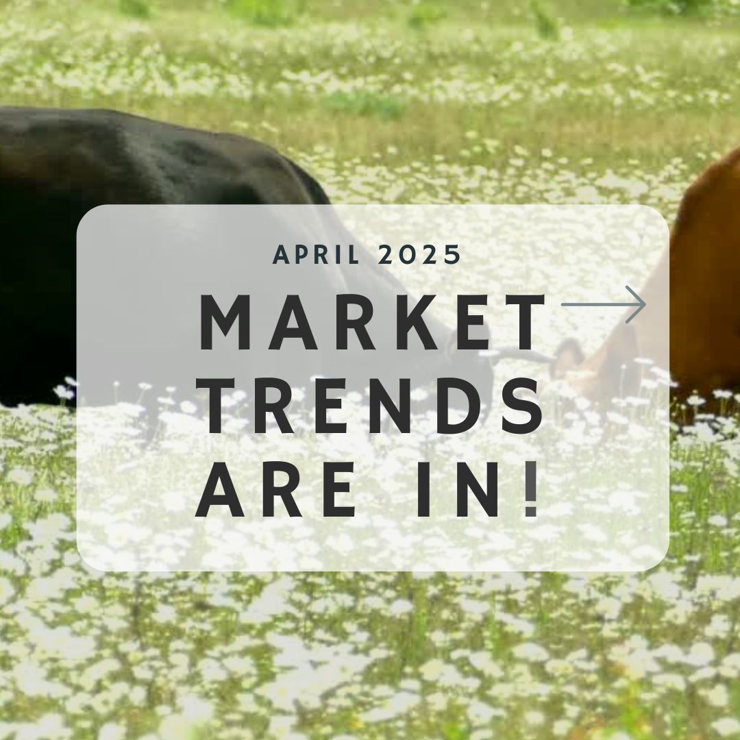 April 2025 – Market Trends