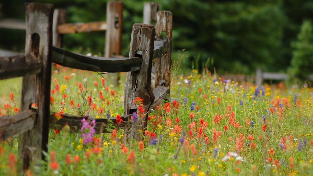 Crested Butte & Gunnison Event – July 2025