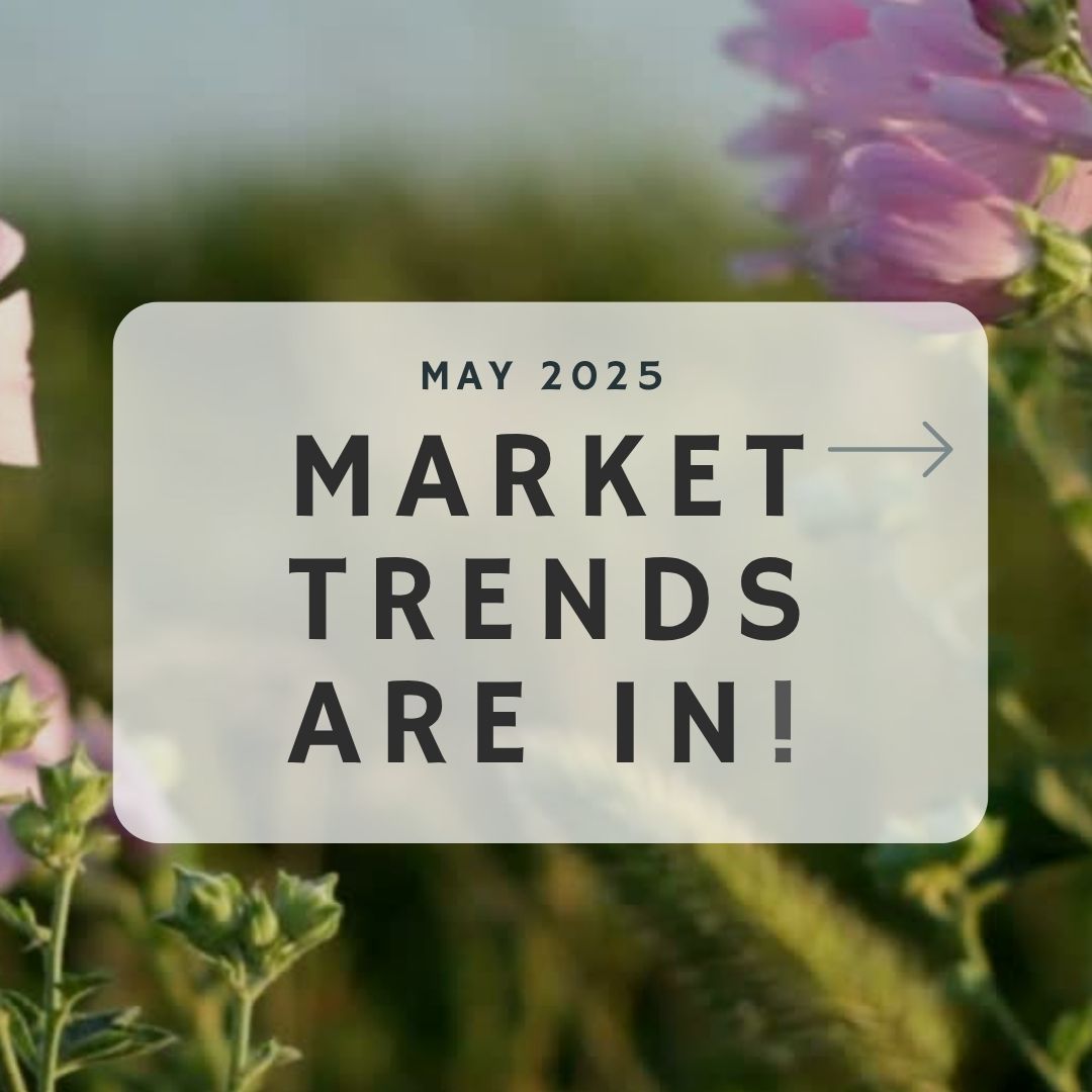 May 2025 – Market Trends