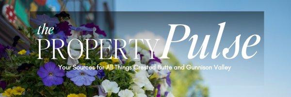 July 2025 – Real Estate Market Newsletter