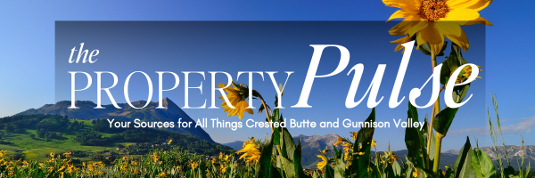 August 2025 – Real Estate Market Newsletter