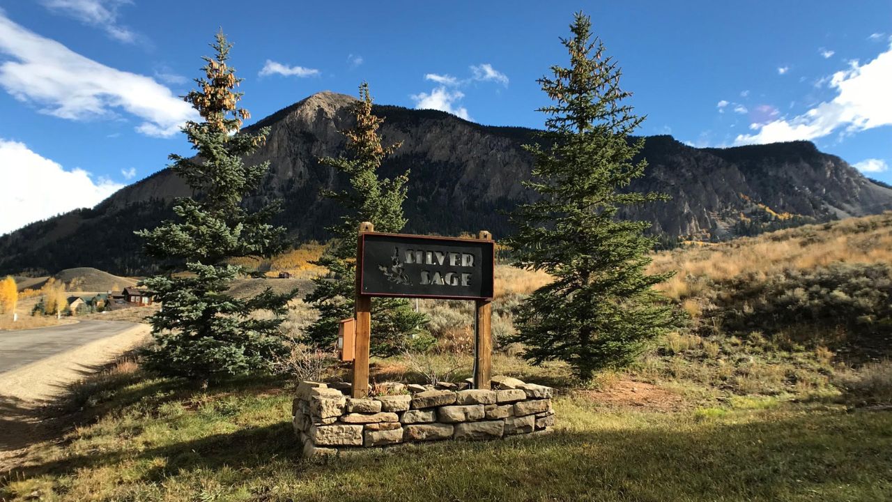 Silver Sage