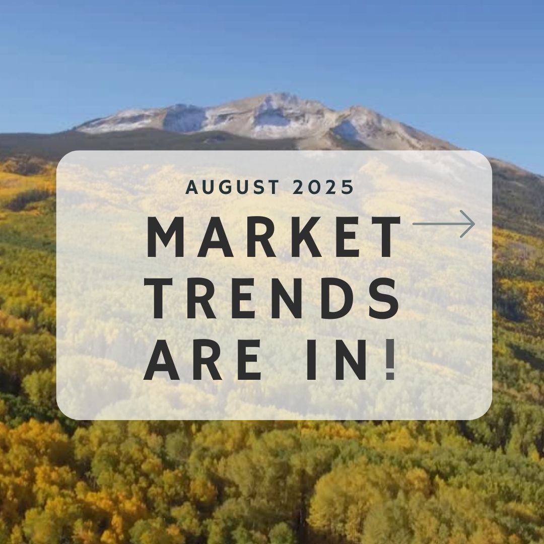 August 2025 – Market Trends