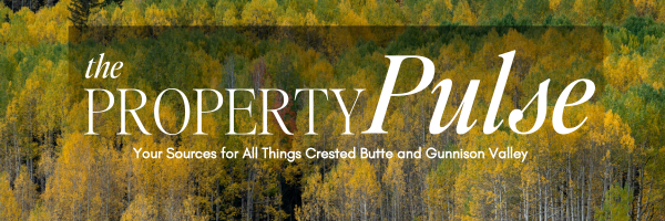 September 2025 – Real Estate Market Newsletter
