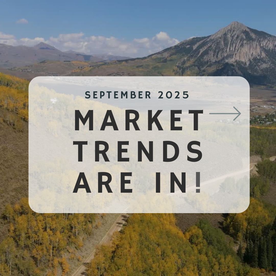 September 2025 – Market Trends