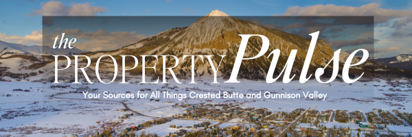 November 2025 – Real Estate Market Newsletter