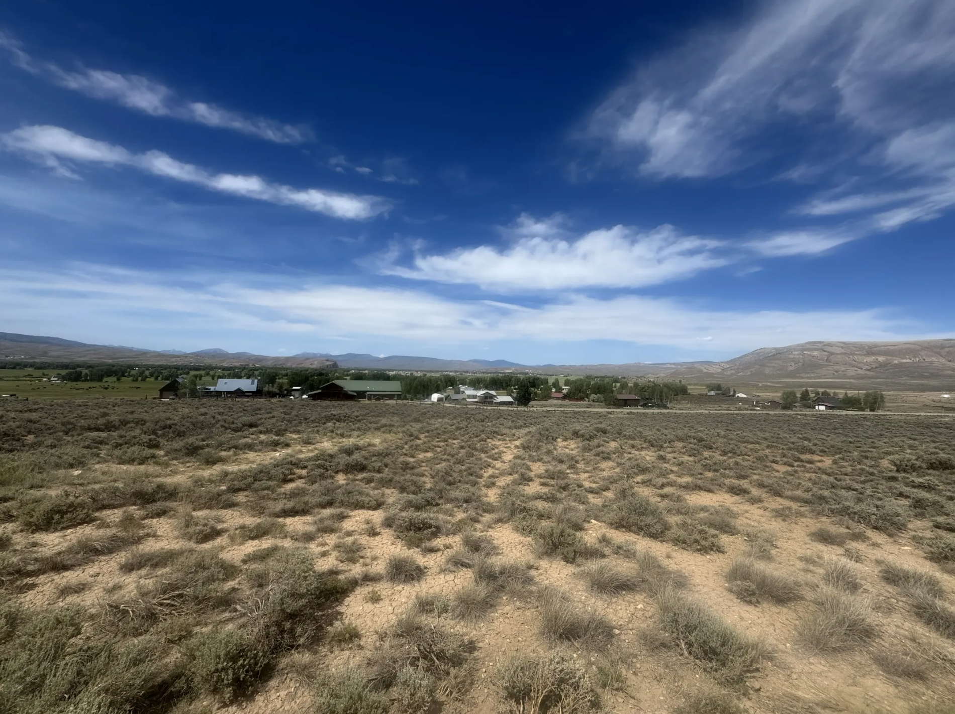 Gold Basin Meadows