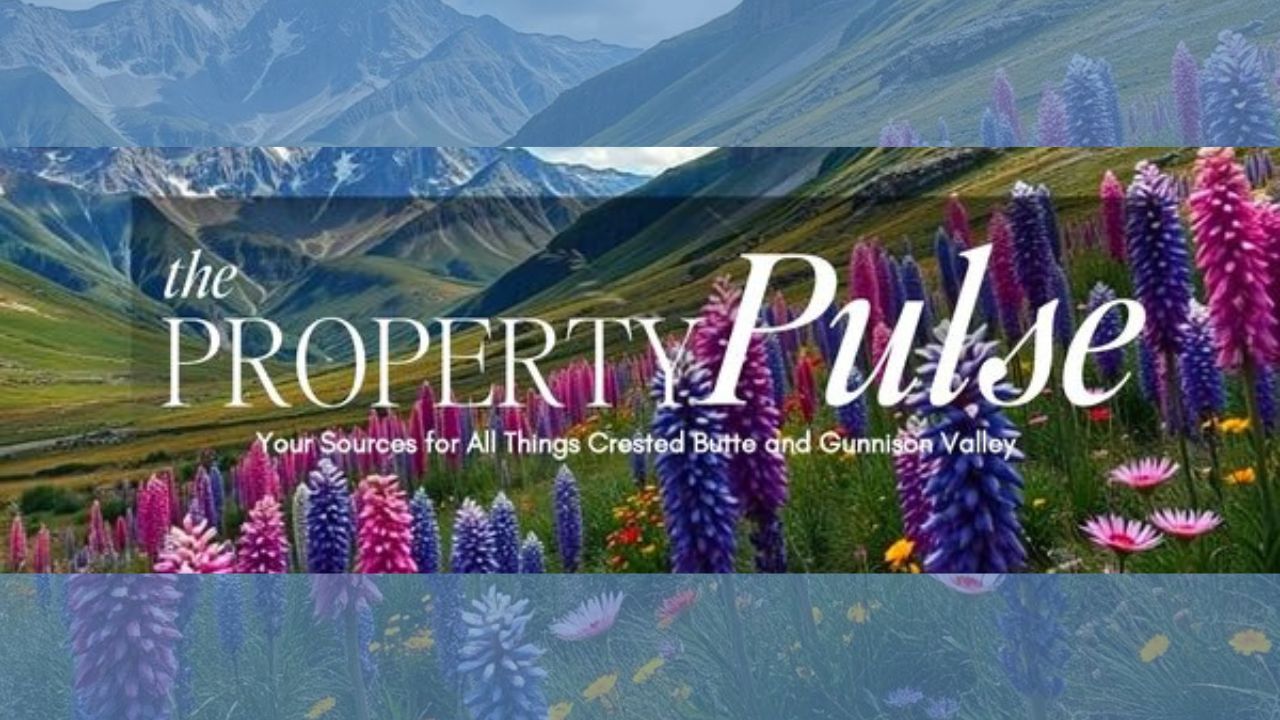 June 2026 – Real Estate Market Newsletter